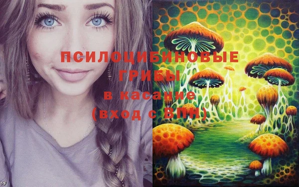 ПСИЛОЦИБИНОВЫЕ ГРИБЫ Балахна