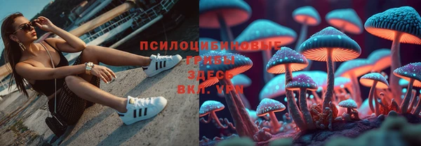 крисы Рославль