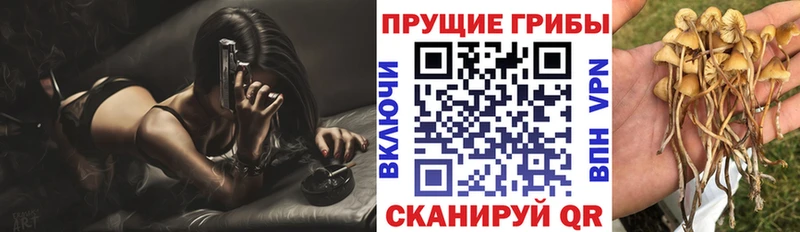 купить закладку  Верхняя Тура  blacksprut сайт  Псилоцибиновые грибы Magic Shrooms 